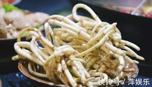 鱼腥草|“折耳根”天然的肺部清洁工,中医用它止咳、化痰、消水肿