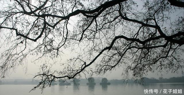 舌尖上的浙江,盘点嘉兴6道美食,第五个被誉为“浙江第一鸭”