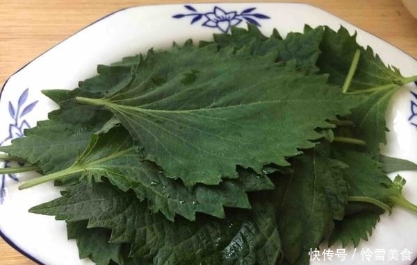 眼干眼涩就吃它,隔三差五吃一点,味道清香保护视力