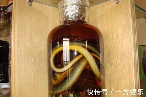 蛇酒|女子怀孕喝蛇酒,在医院生下宝宝后,家人脸色大变