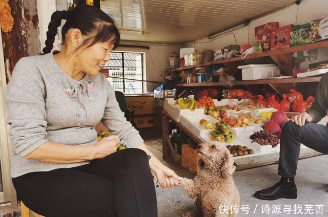 快没了|根本停不下来!金山这个有着百年历史的季节限定美食,再不吃就快没了……