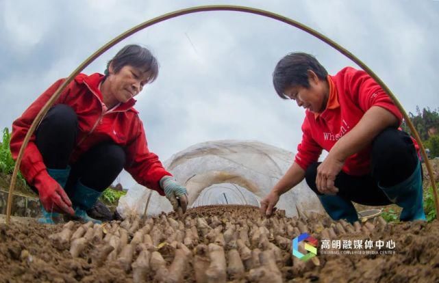 喜欢|美了美了！满屏都是你喜欢的高明春色~