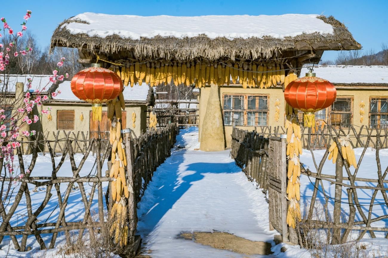 老年|在寂静雪原 遇见雪花真实的形状