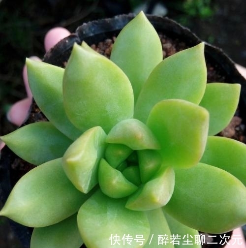 学会|顺口溜骂人不带脏字,你学会了吗?