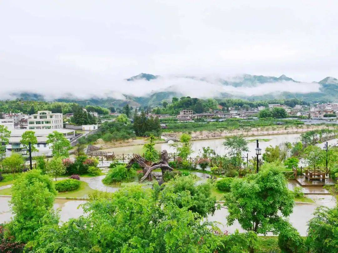 乡村振兴开新局 福建漳平聚焦焦兴美富