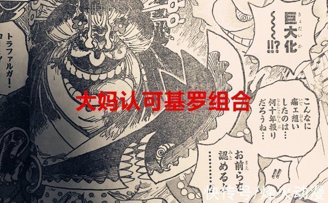 四皇|海贼王1031话青雉原来是cp0的老大,大妈认可基罗有四皇实力