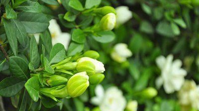 秋天|秋天来了，可以多吃3种食物，排毒养颜，滋润肌肤！