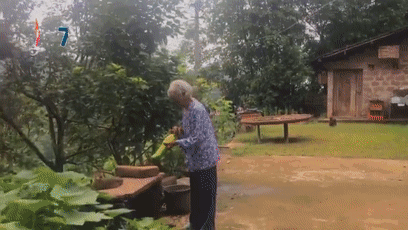 孙女|孙女偷偷回家，86岁奶奶开心到跺脚……