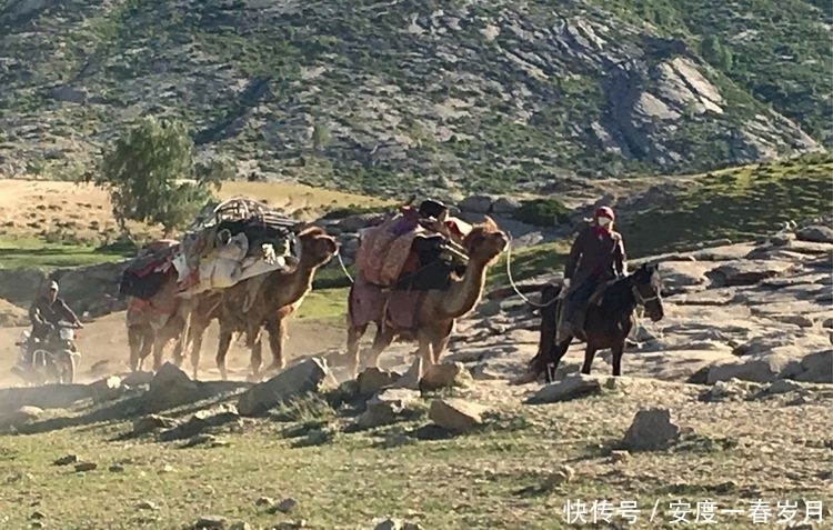 哈萨克|草原上的生命大迁徙哈萨克转场