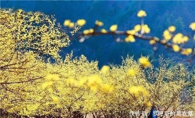 推荐丨来汉中这座慢节奏小城，邂逅一场浪漫的“风花雪月”~