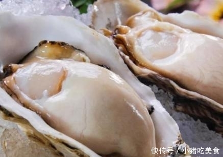 营养|秋冬季,这4种海鲜多给家人吃,好吃不贵,营养充足
