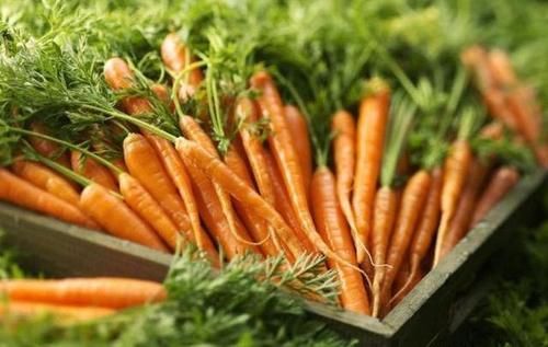 火龙果皮|女人爱美，常吃3种食物，润肤美容，延缓衰老，早吃早受益