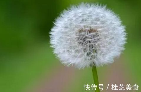 智鸡蛋黄|女性不想满脸皱纹,不妨坚持吃3种食物,美容养颜、滋润身体!