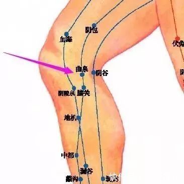 太冲穴|穴位治百病但穴位不在多，只要灵验就好