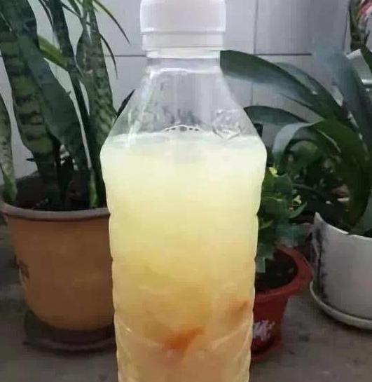 盆栽花草就追加自制肥,乐趣多、好处多,对土质、植物都有益