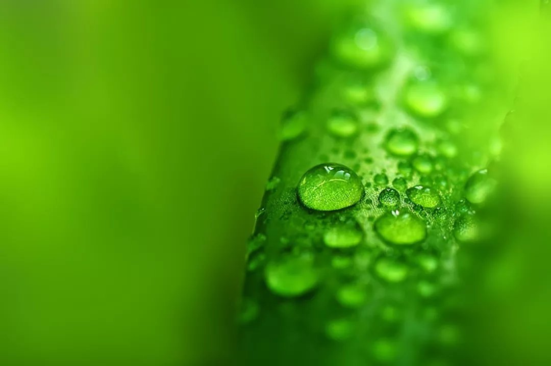 大道至简，繁在人心|诗词 | 茅草屋