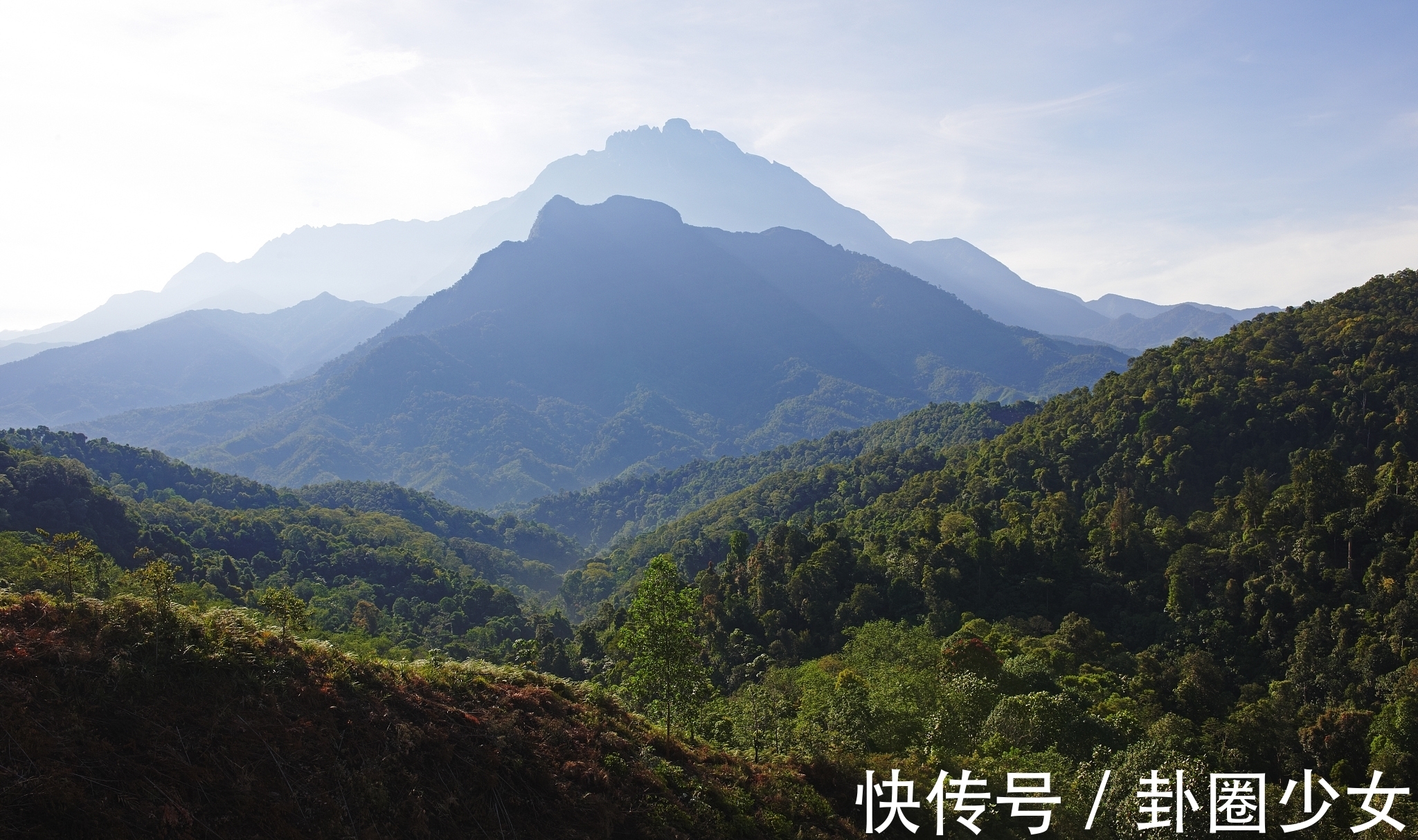 鲁山@宋诗精华五首，梅尧臣被誉为宋诗开山祖师，您觉得他的诗写得如何