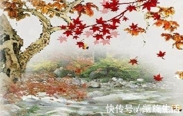 春风|十二首描写风的诗词,古人太有才,如何不开怀