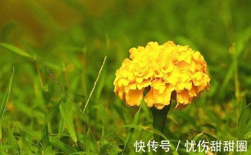 爱如潮水|再过7天，爱如潮水，问题化解，支离破碎，迷恋旧爱，相知相守