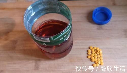 饵料|钓鱼技巧:酒米最科学的制作方法,酒味越浓效果未必越好!