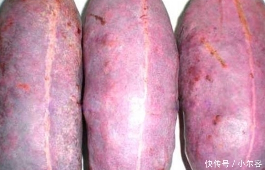 果王|桑葚韭菜靠边站,它才是“保健果王”!养颜补肾气,腰力更持久