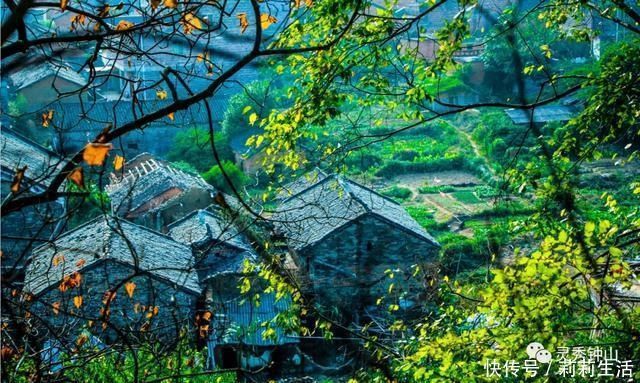 绿植沃若绕山塘，古祠老宅缀农庄，钟山这个国家森林乡村太美了