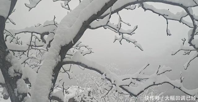 银装素裹|南太行今冬第一场雪来的是那么突然满山银装素裹