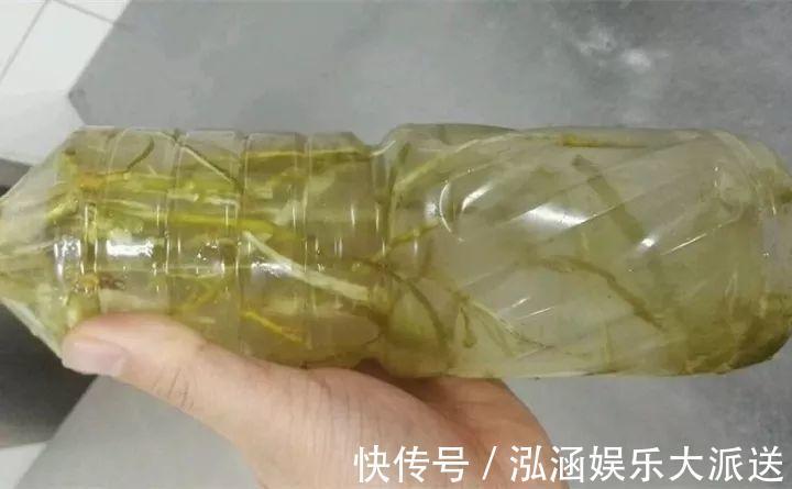 浇花|营养水家家都能做，不花一分钱，给花浇点就爆盆！