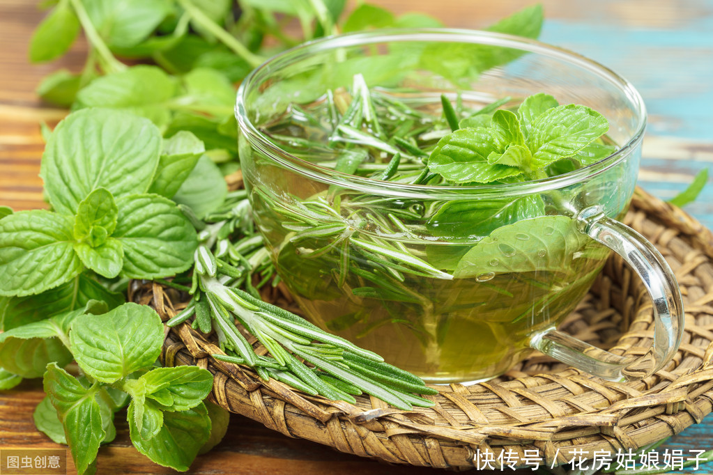 家里养一盆这种植物,不但提升“大脑能量”,还能祛食物异味