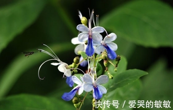 生肖|9月30日前,四生肖财运大涨,吉星高照,生活顺风顺水,好运不断