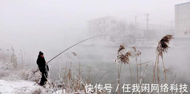 隔夜窝|为何夏季钓鲫鱼又少又小，到了冬季又大又多难道是鱼挑食