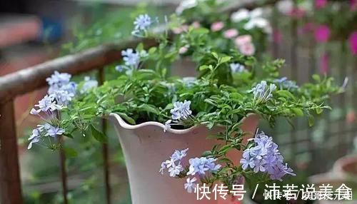 郁金香|7个绝美花园,个个美炸了天,等有钱了我也要建一个