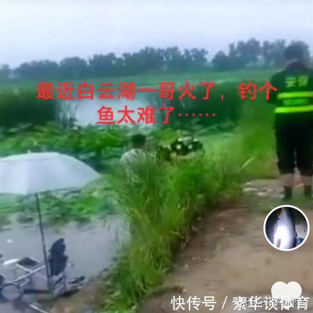 垂钓|钓友:谁动我鱼竿我就把谁弄水里,管理方:好,我就让你弄水里