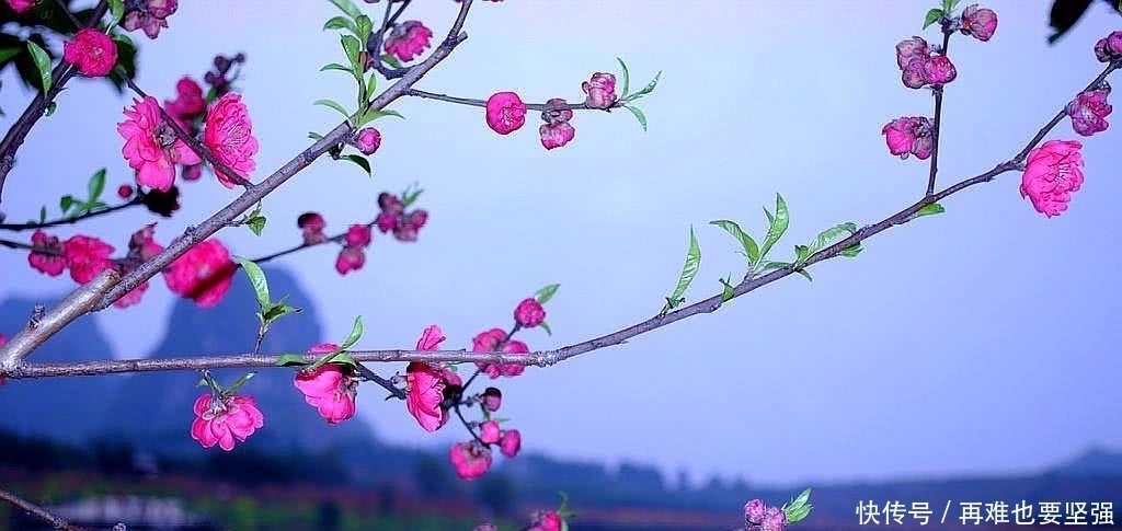 寒雨$李煜艳冠古今的一首小令，短小凄美朗朗上口，你一定能全词背诵！