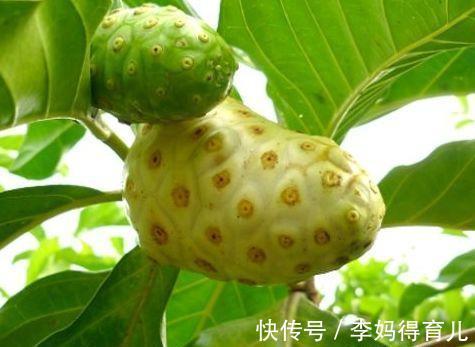 食物|想長壽先養生，秋天多吃3種食物，促進細胞新陳代謝，防止色斑