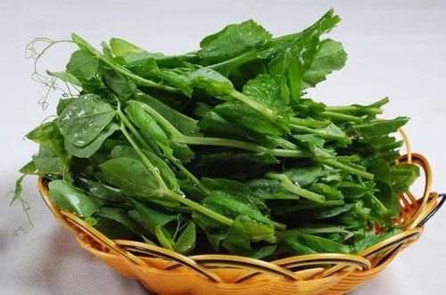 天然的“养肝王”,常吃排出体内毒素,肝脏越来越健康