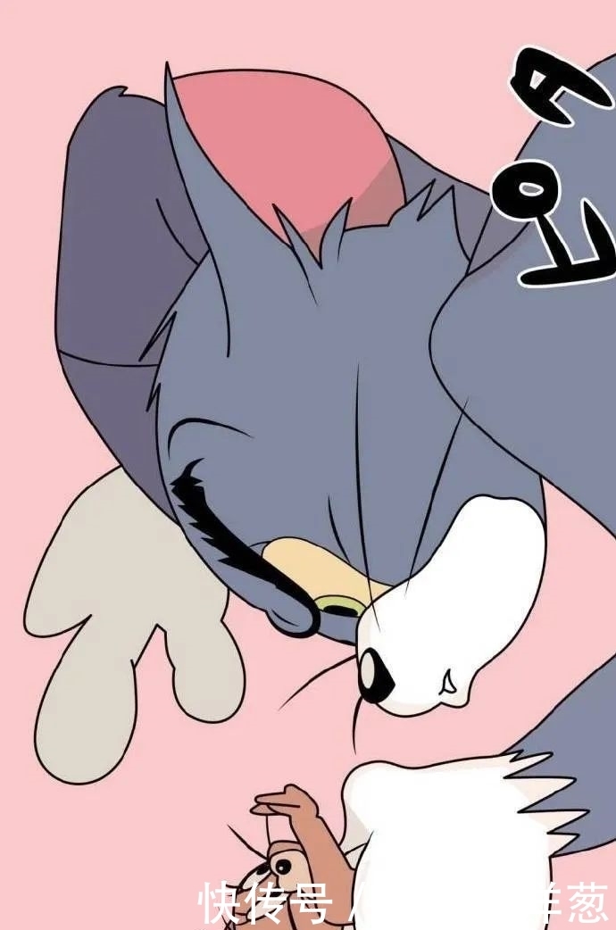 配不上|原来的壁纸已经配不上你的iPhone12了,快来换新的猫咪壁纸