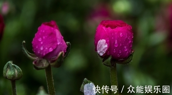 酒桌!老祖宗酒桌识人术:记住三个口诀,帮你轻松看穿一个人