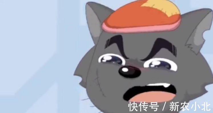 动漫|虹猫蓝兔我1317集,哆啦A梦我3185集,他都是弟弟!