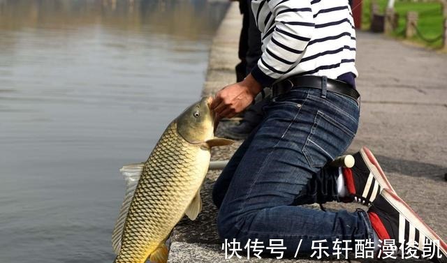 钓野生鱼和钓养殖鱼有什么不同垂钓野生鱼和养殖鱼的主要不同点