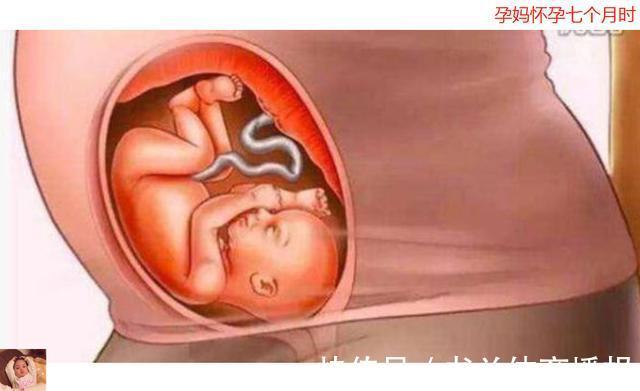 待产包|母亲十月怀胎到底多辛苦?十张图带你看孕育全过程,生命来之不易