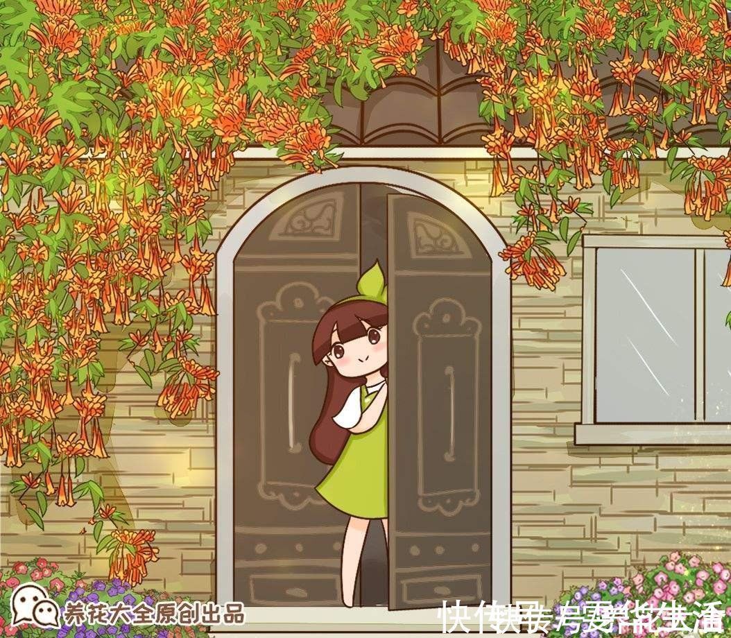 凌霄花|房顶上养了一株花,邻居叫我赶紧砍掉,真是为难