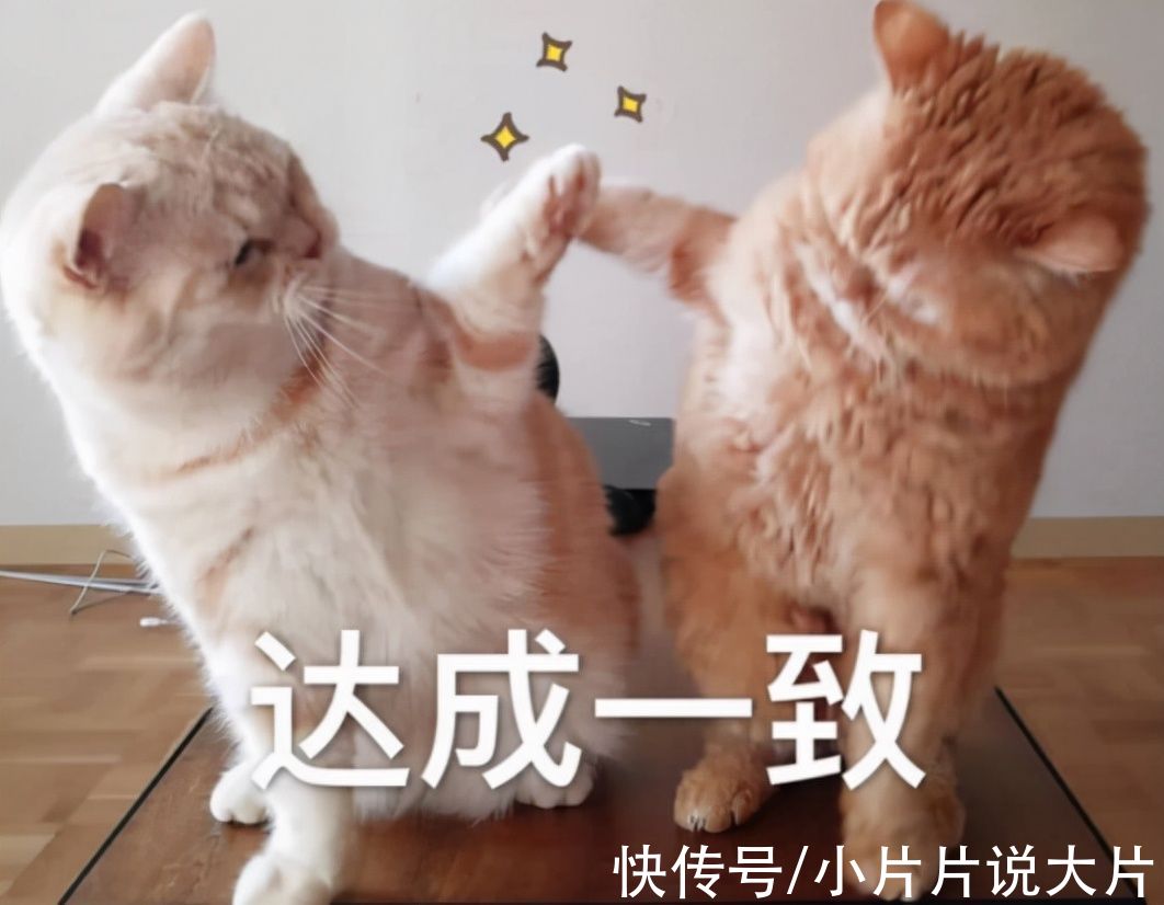 紅了20年的《快樂大本營》，這次是真的「退圈」了