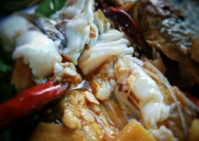 给鱼去腥,用料酒还是用醋都错了,只需一勺它,鲜嫩入味还不腥