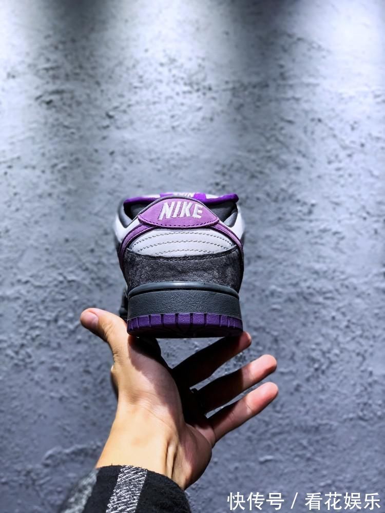 颜值爆表|黑鸽子见多了看看这款颜值爆表的紫鸽子吧!
