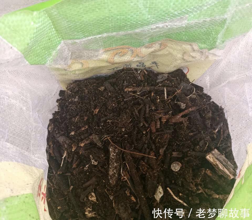 春天换盆“旧土”怎么办加2种“东西”，养花肥沃疏松，能爆盆