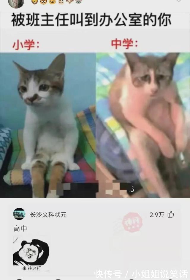 |搞笑合集：这是我的两位表弟，为人圆滑方正，希望能找个对象