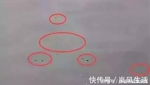 小顿口|野钓发现3种信号,说明“大家伙”来了,万万不要胡乱提竿