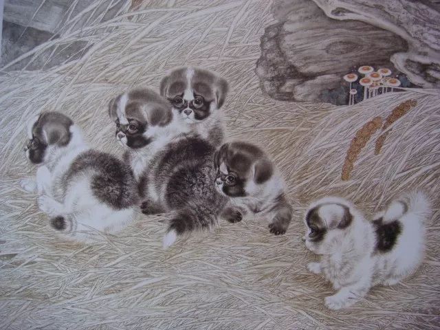 代表作品@米春茂笔下的猫,趣萌可爱,稚气童真