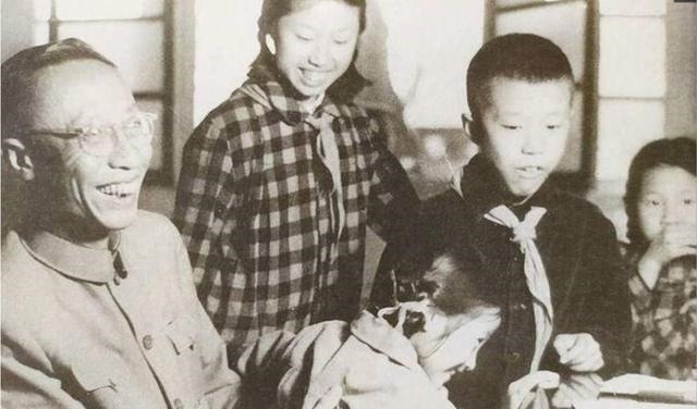 上填|溥仪的文化程度到底有多高户口上填初中，实际水平高到让人吃惊